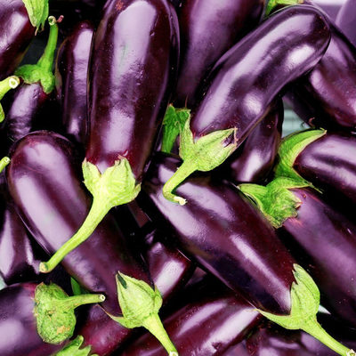 The eggplant, otherwise known as aubergine or brinjal, is a plant from the Nightshade family.