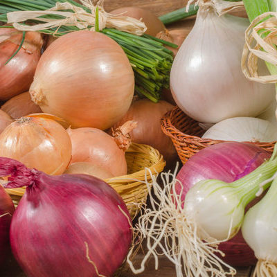 The onion is a member of the Allium family of vegetables and comes in different sizes, shapes, and colors.
