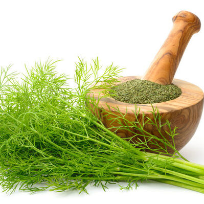 Dill is an herbal plant which has leaves and seeds that are used as a seasoning or spice.