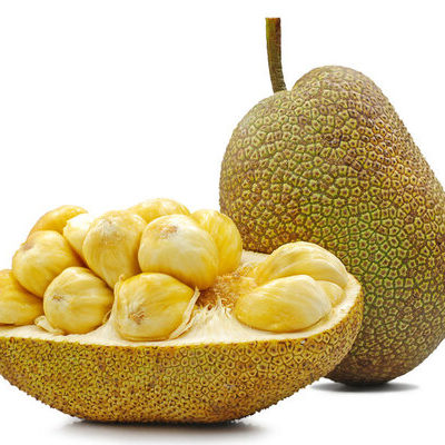 Jackfruits are a species of the fig, mulberry, and breadfruit family and grow on the jack tree.