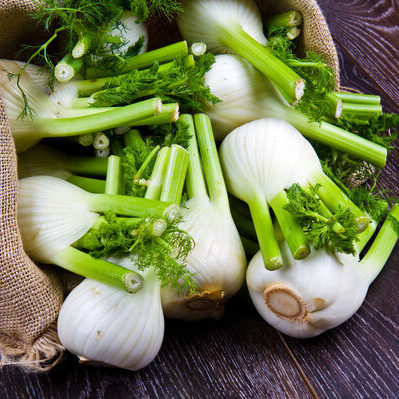 Fennel is a flowering plant that is a part of the carrot family.