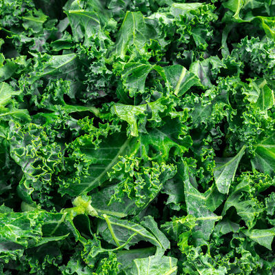 One of the most popular foods among healthy eaters nowadays is kale. Kale is a leafy cruciferous vegetable that has a high nutritional value.