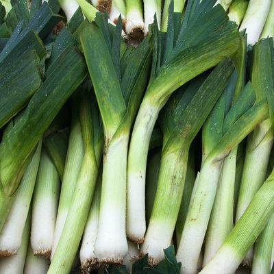 Leek is a crunchy and firm vegetable with a light onion-like taste.