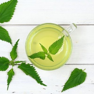 Nettle (Urtica dioica) is a perennial flowering herb from the Urticaceae family.
