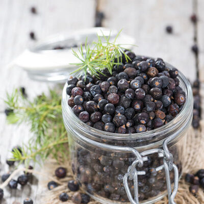 Juniper berries (Juniperus communis) are the fleshy cones of female junipers with a physical appearance similar to that of berries.