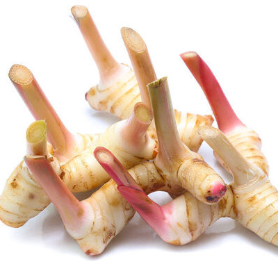 Galangal is the root of four distinctive plants of the Zingiberaceae family, which is closely related to ginger and turmeric.