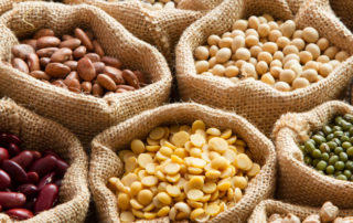 Lectins are a type of protein that can be found in foods of both plant and animal origin.