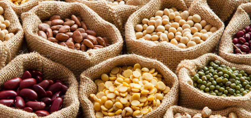 Lectins are a type of protein that can be found in foods of both plant and animal origin.