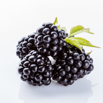 Blackberry is a small fruit that belongs to the rose family. It is a deep black color with a bulbous shape and juicy flesh.