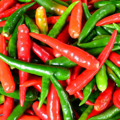Chili pepper is the fruit of several plants in the Capsicum genus.