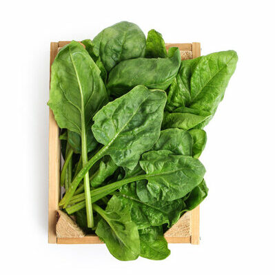 Spinach is a leafy green plant belonging to the Amaranthaceae family. The leaves may be consumed raw or cooked.