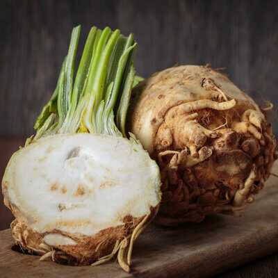 Celeriac is a root vegetable, and a member of the Apium graveolens family of plants.