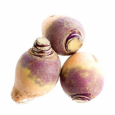 Rutabaga is a root vegetable, and a member of the Brassica napus family of plants which includes certain varieties of kale