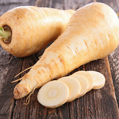 Parsnip is a root vegetable and a member of the Apiaceae family of plants.