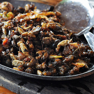Kamaro is the Filipino name for mole crickets. This dish is usually served as an appetizer